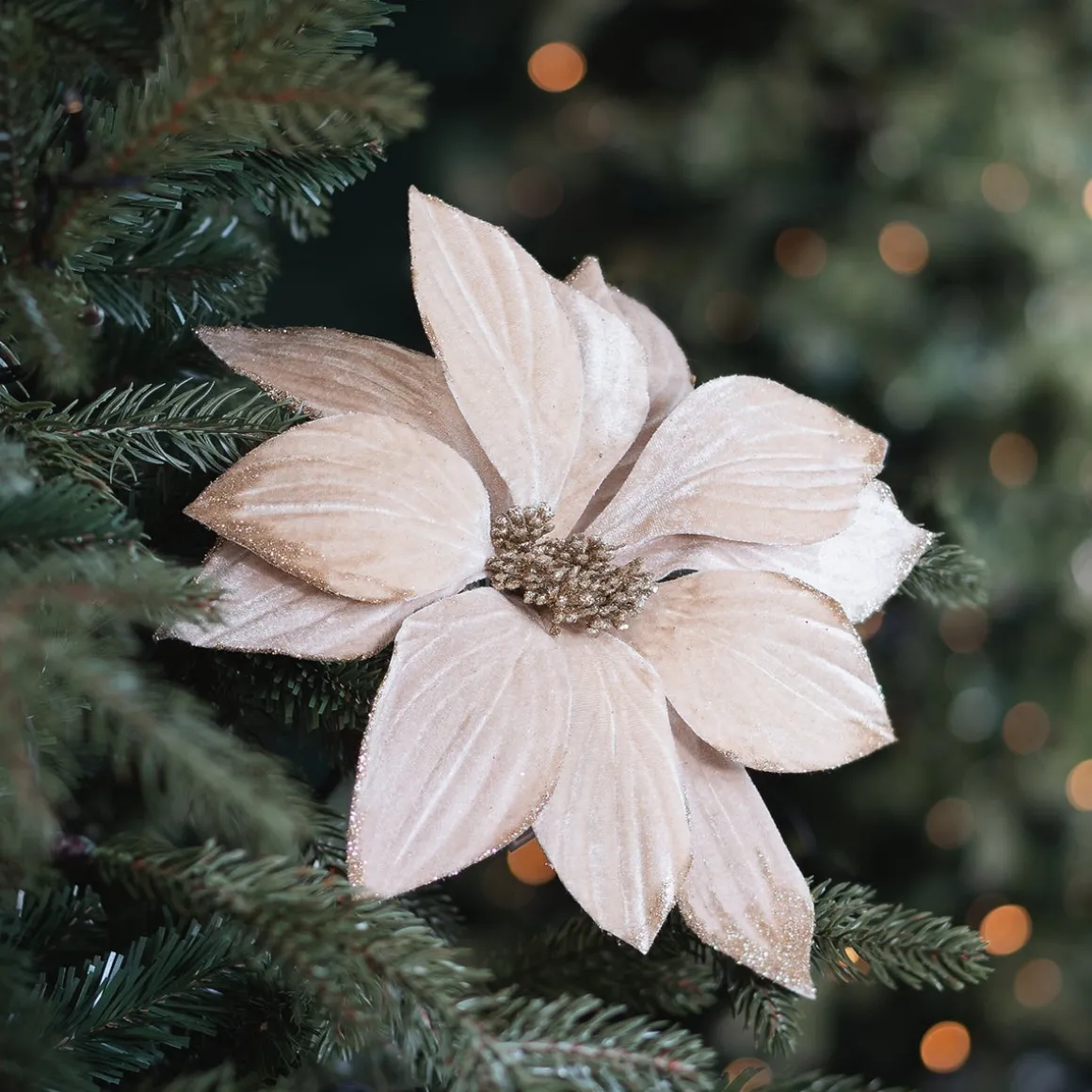 Champagne Christmas Rose With Glitter Leaves
