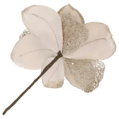 Champagne Magnolia With Glitters And Organza