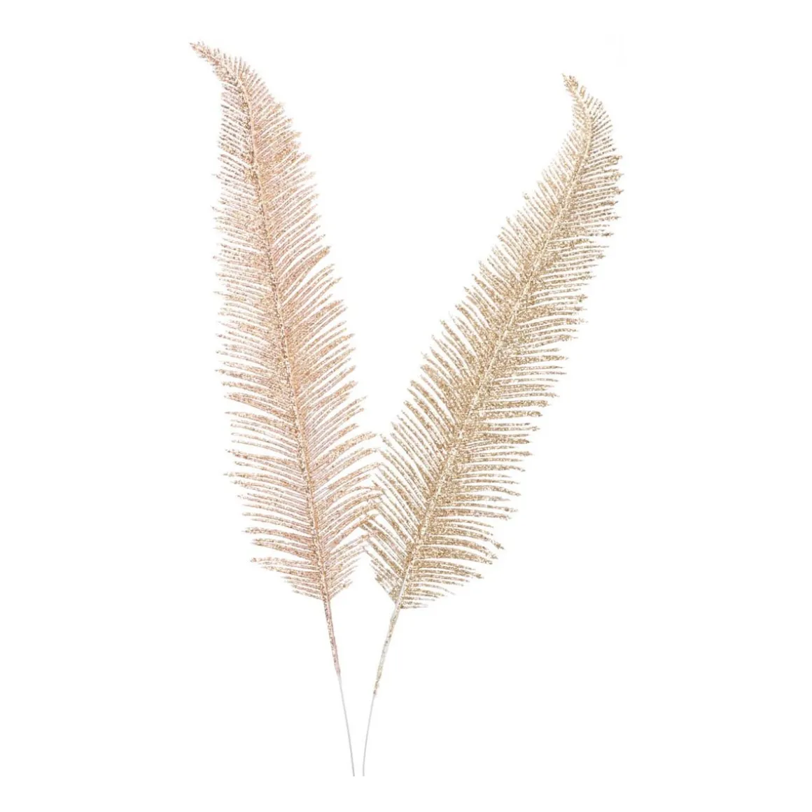 Decorative Feather | Champagne | 43 Cm