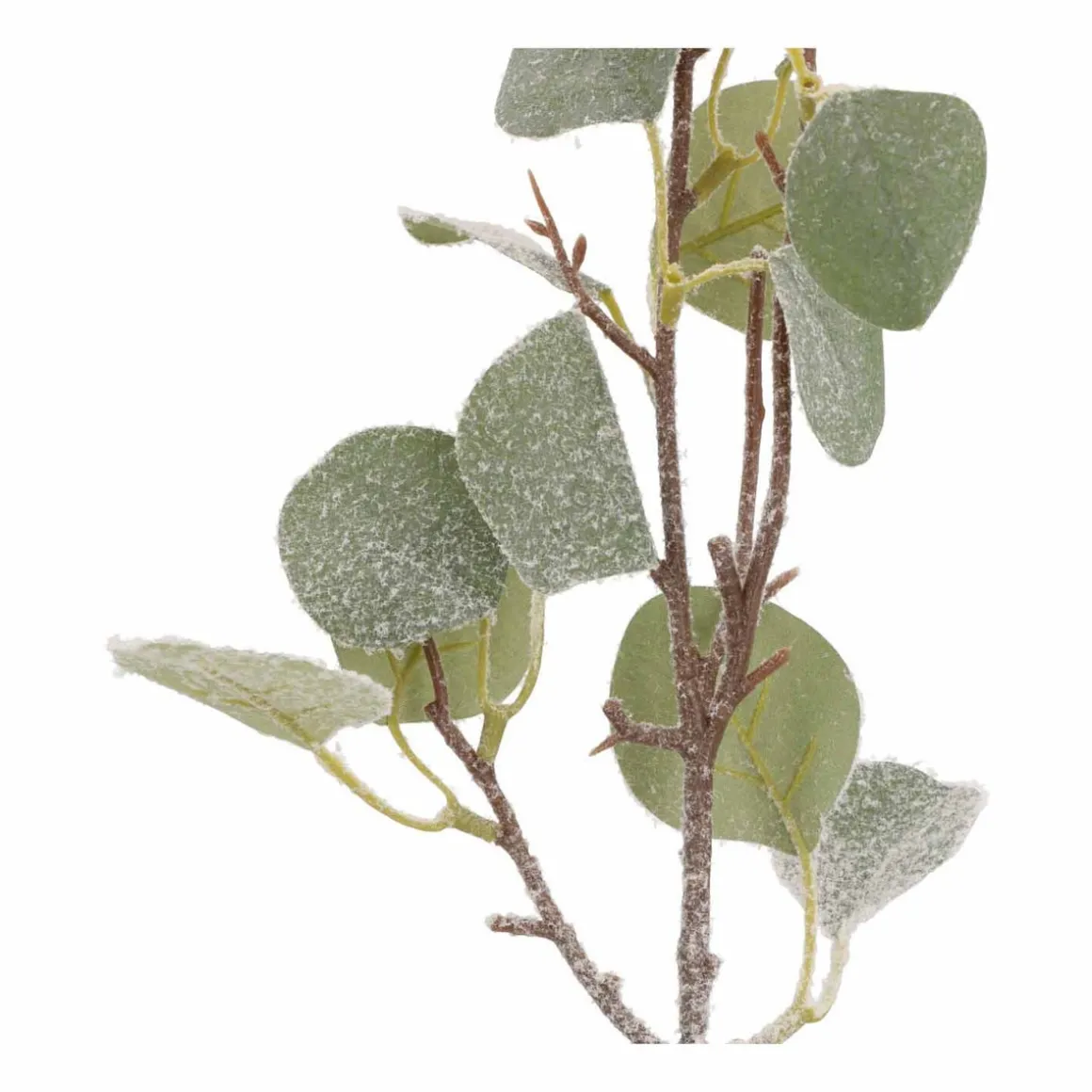 Eucalyptus Branch | 43 Cm