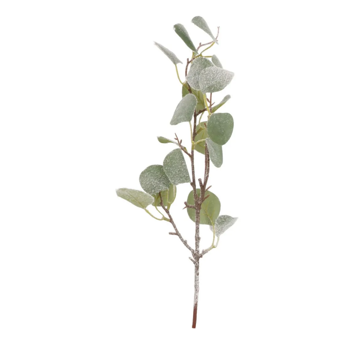 Eucalyptus Branch | 43 Cm