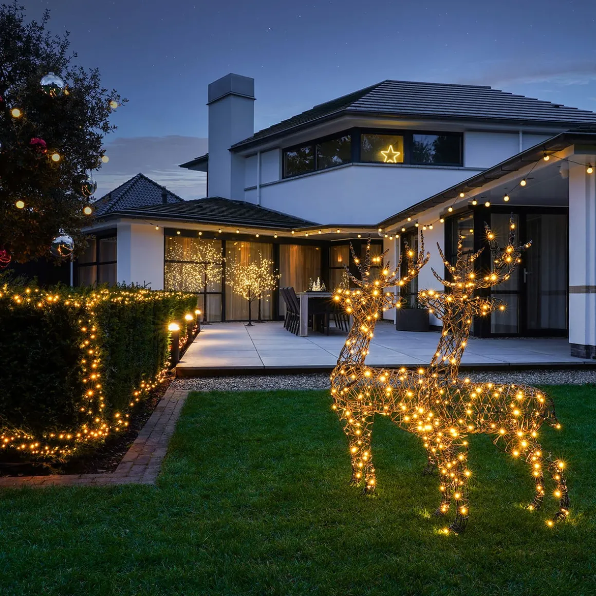 LED Reindeer | Warm White LED | Indoor & Outdoor Use | Timer | 100 Cm