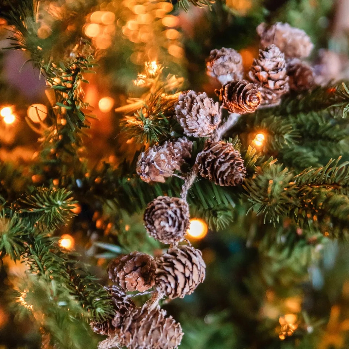 Pinecone Garland Frosted 150cm