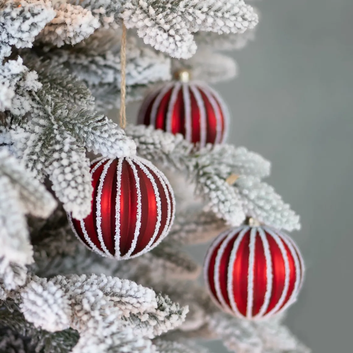 Snowy Christmas Tree Djill Pine 240cm