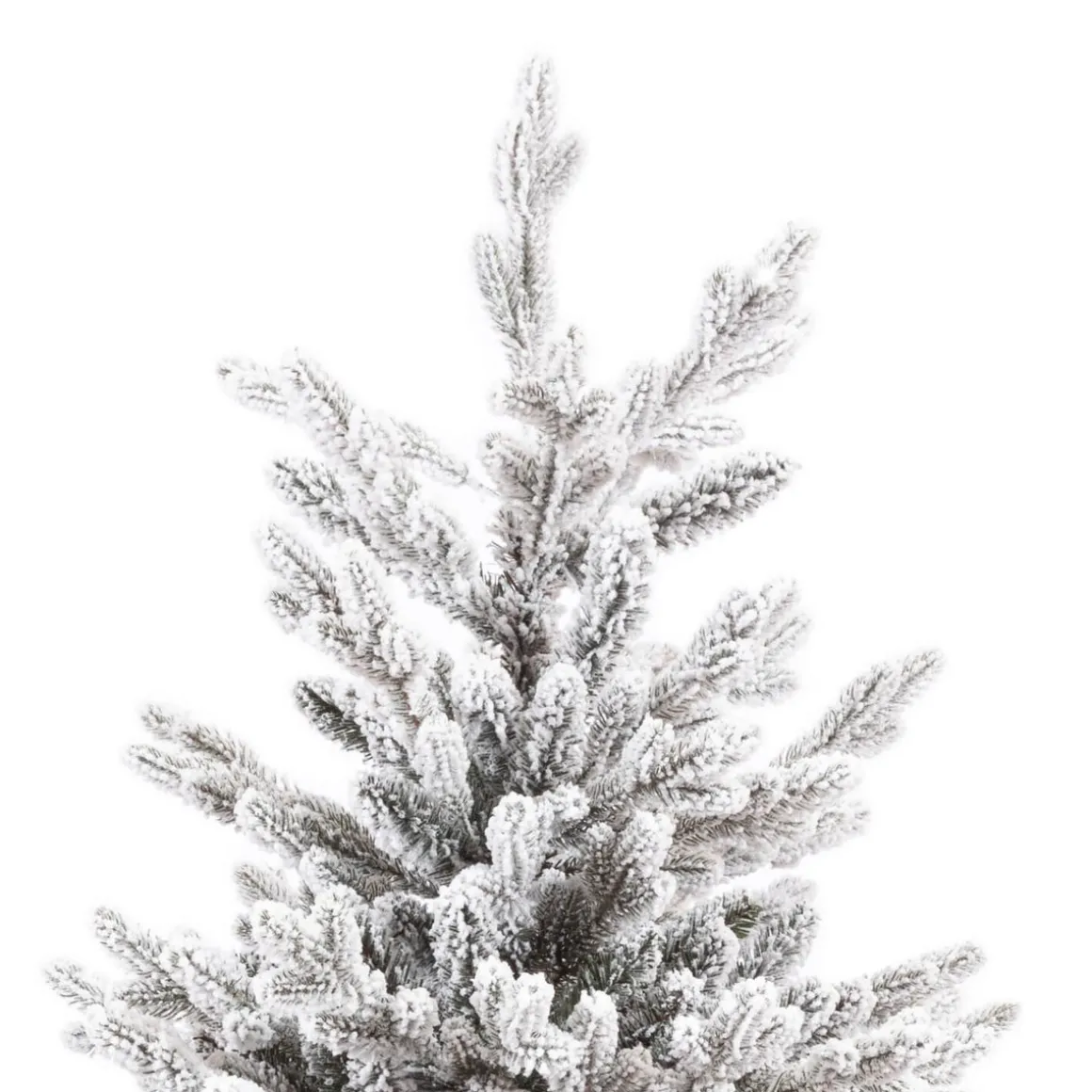 Snowy Christmas Tree Djill Pine 240cm